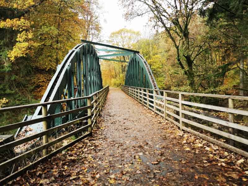 Green steel bridge on an autumn leaf cover path