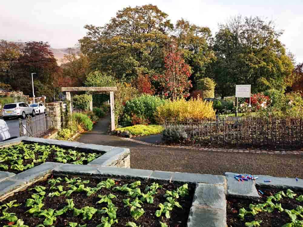 Raised beds and paths in a garden