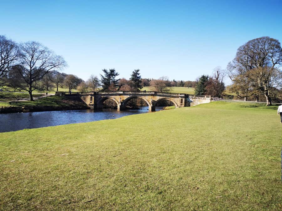 grass leading to a river with a bridge over it
