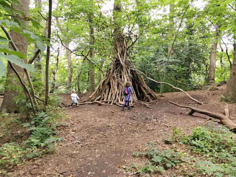 Den in the woods
