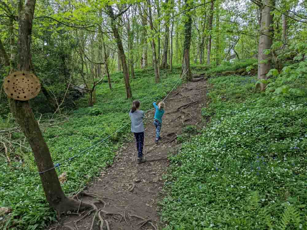 Children using a rope to pull them up a hill in a woodland