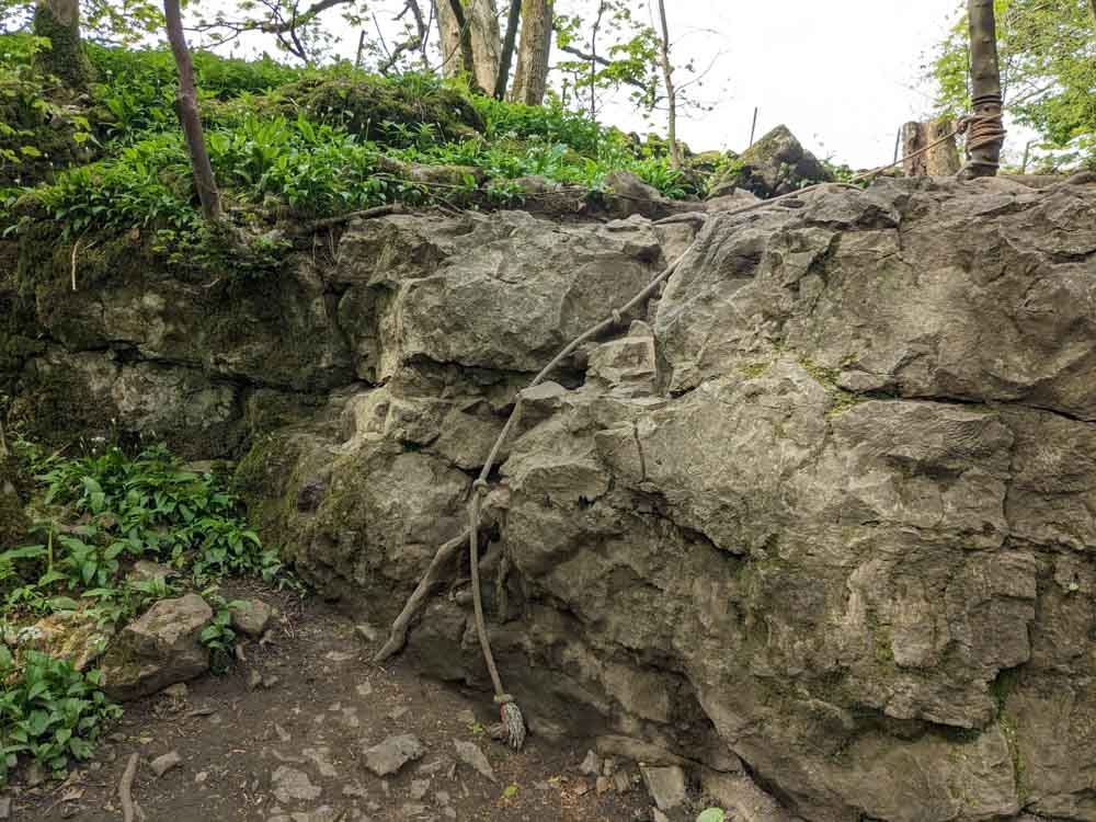 rope down a short steep drop in the woods