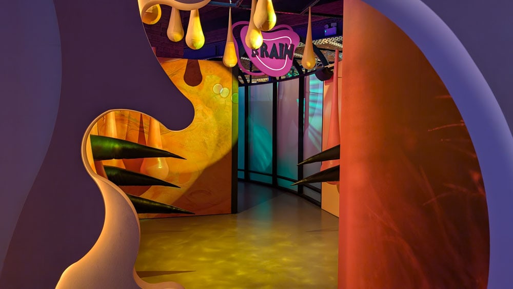 Area of a museum designed to look like the inside of an ear