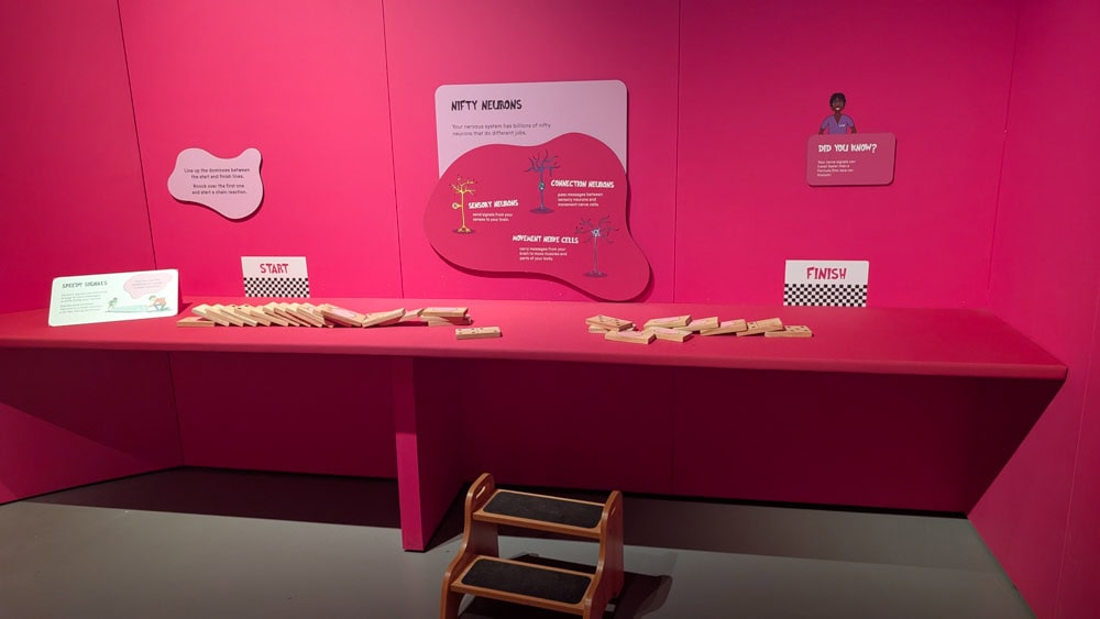 Pink table with lots of dominos lined up
