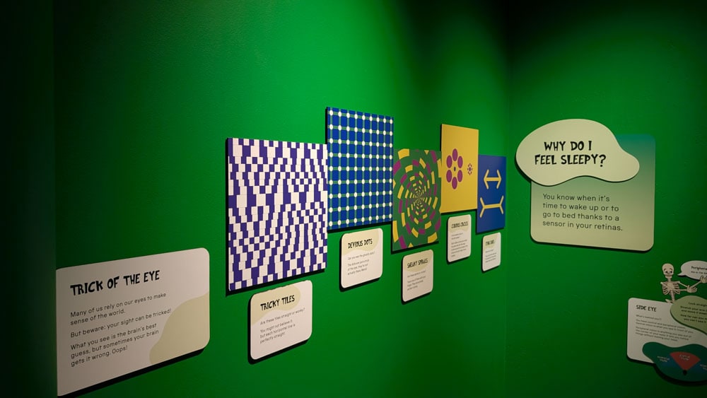Green wall with lots of optical illusions on it