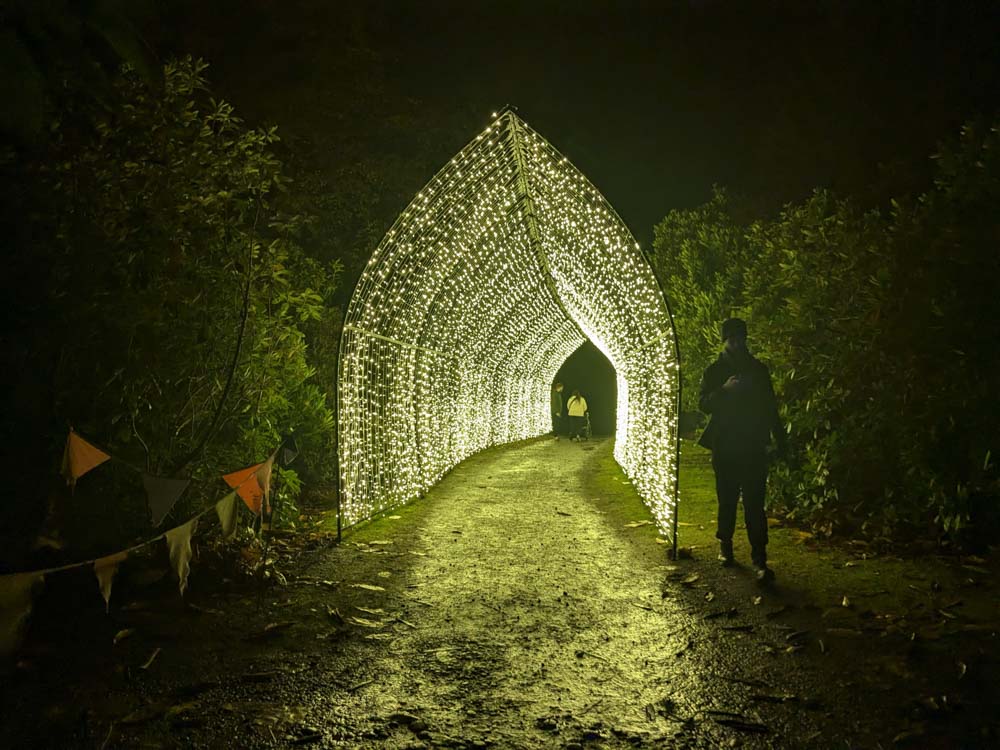 Tunnel of fairy lights