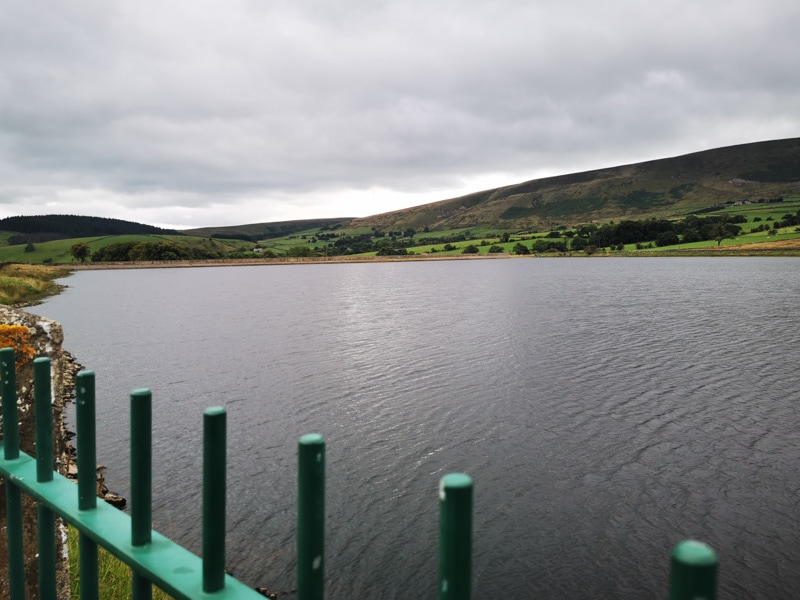 Black moss reservoir