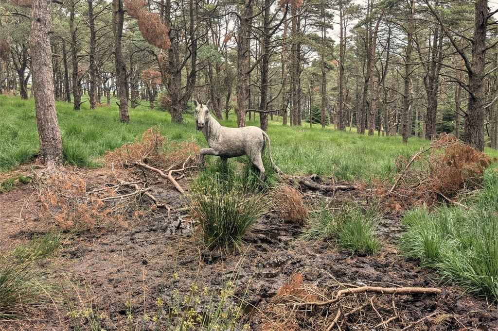 Large white unicorn sculpture in the woods