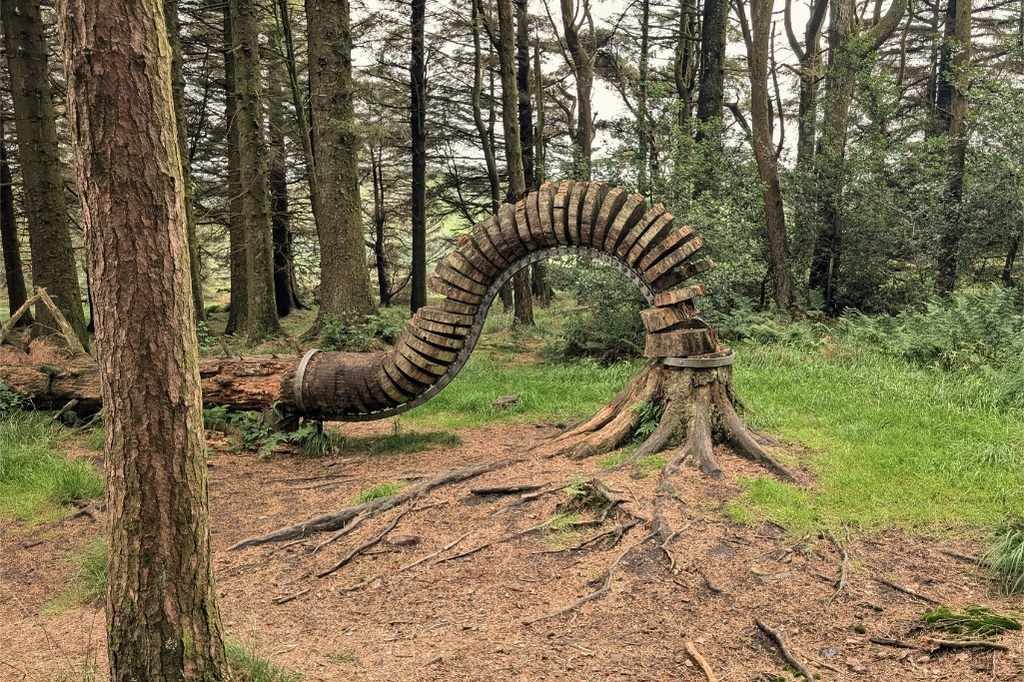 Wood and metal, large curved sculpture in the woods
