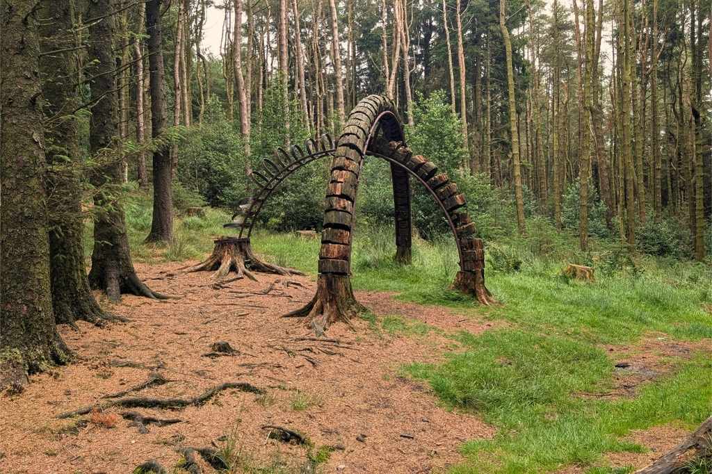 Wood and metal, large curved sculpture in the woods