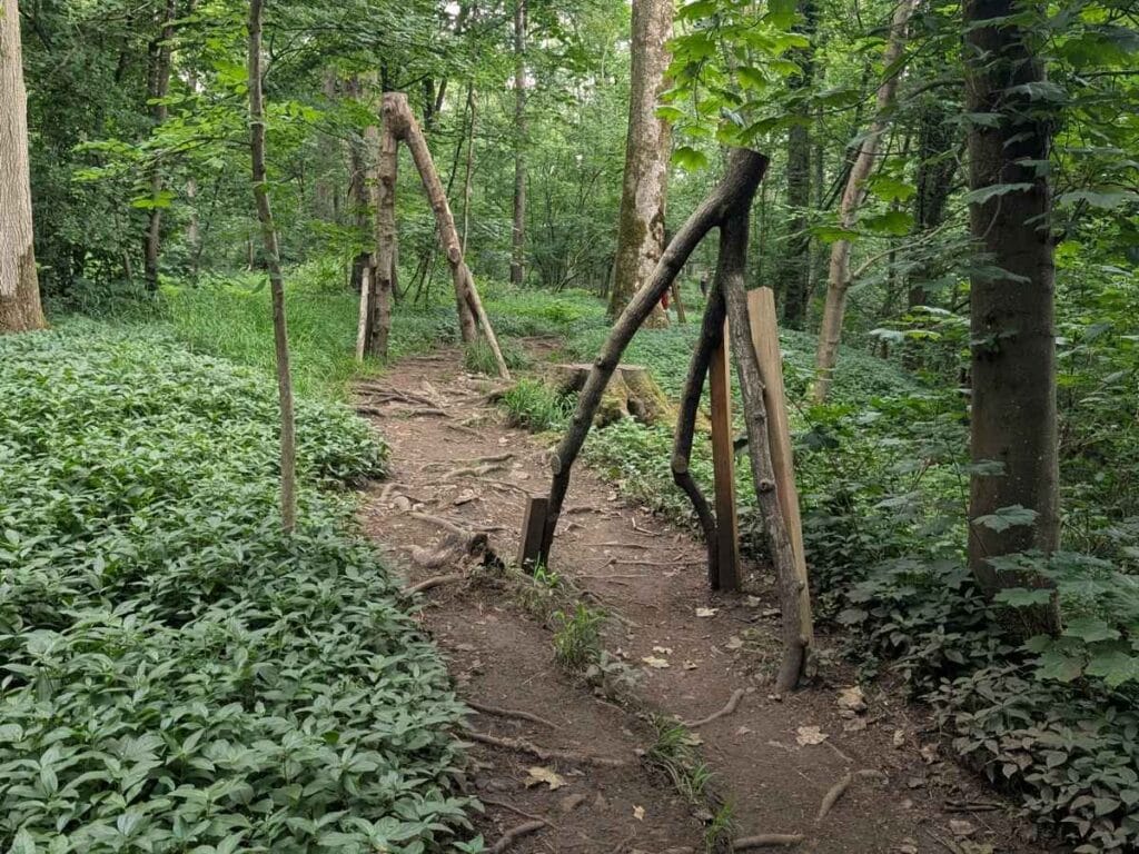 logs and large sticks making archways