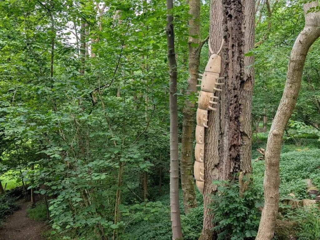 Large wooden centipede attached to a tree  