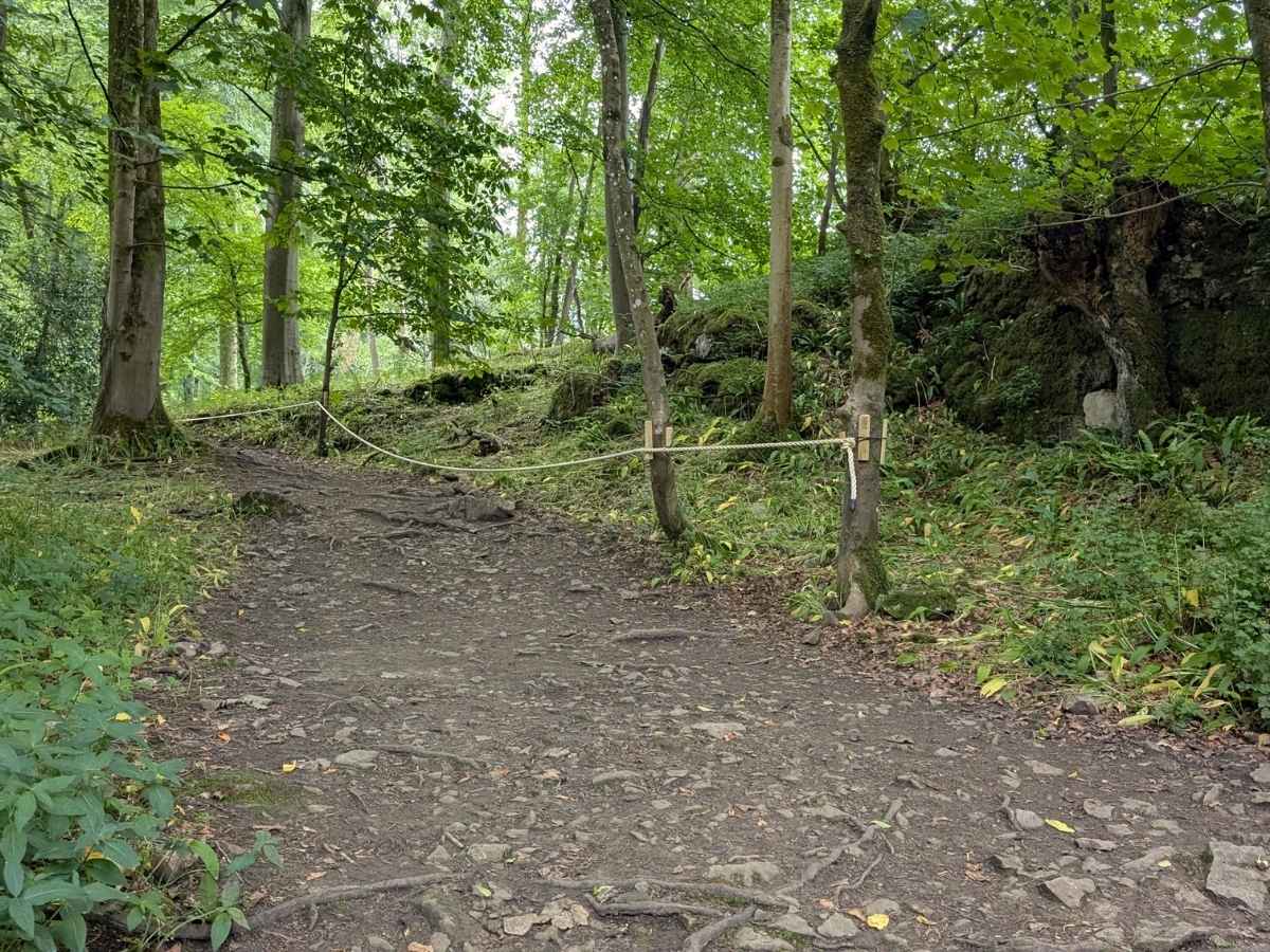Path through woodlands with a rope between some trees