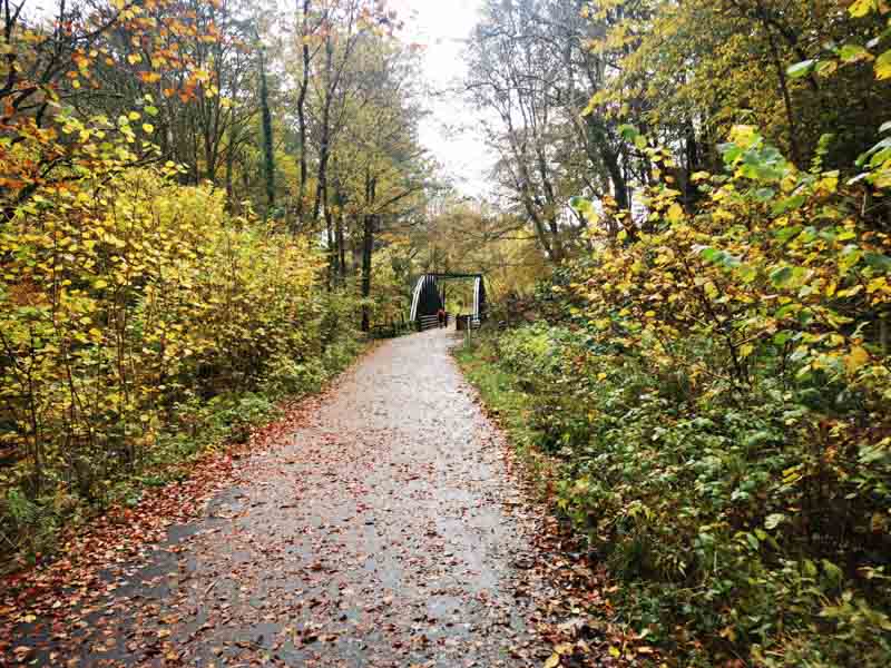 Foot path in wooded area in autumn with a bridge in the distance