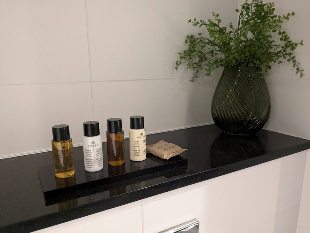 mini toiletries and vase of greenery
