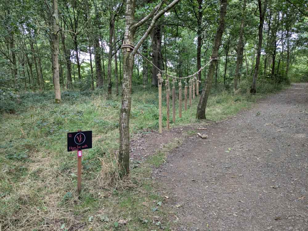 Wooden pipes hanging in woodland