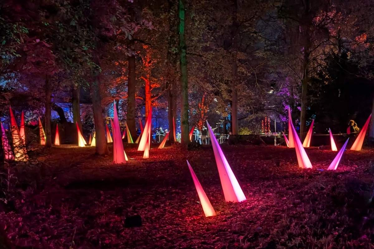 A forest floor is dotted with tall, cone-shaped light sculptures glowing in pink, purple, and orange hues. The trees are bathed in colorful uplighting, creating a dreamy, enchanted woodland atmosphere perfect for a nighttime light trail or festive event.
