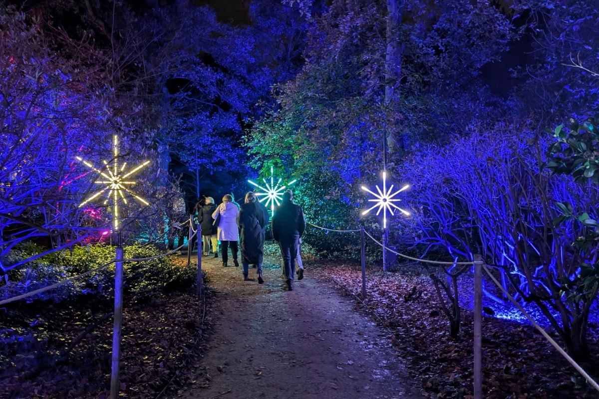 Visitors walk along a forest trail lit with glowing starburst light sculptures on either side, casting a warm yellow and cool white glow. The surrounding trees and bushes are bathed in rich blue and purple lighting, creating a magical, winter wonderland effect.