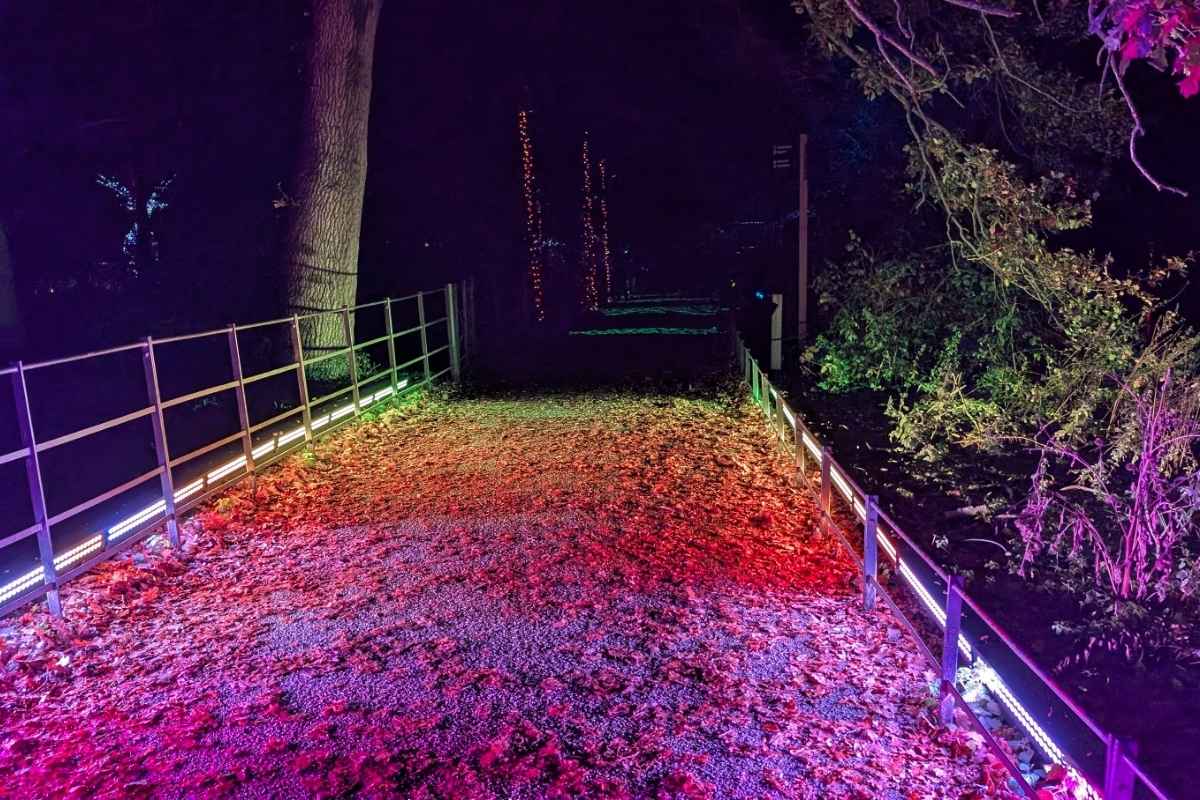 A leaf-covered pathway is lit with vibrant, multicolored lights creating a rainbow effect across the ground. Metal railings line both sides of the trail, with trees and bushes glowing in purple and green hues under the nighttime illumination.