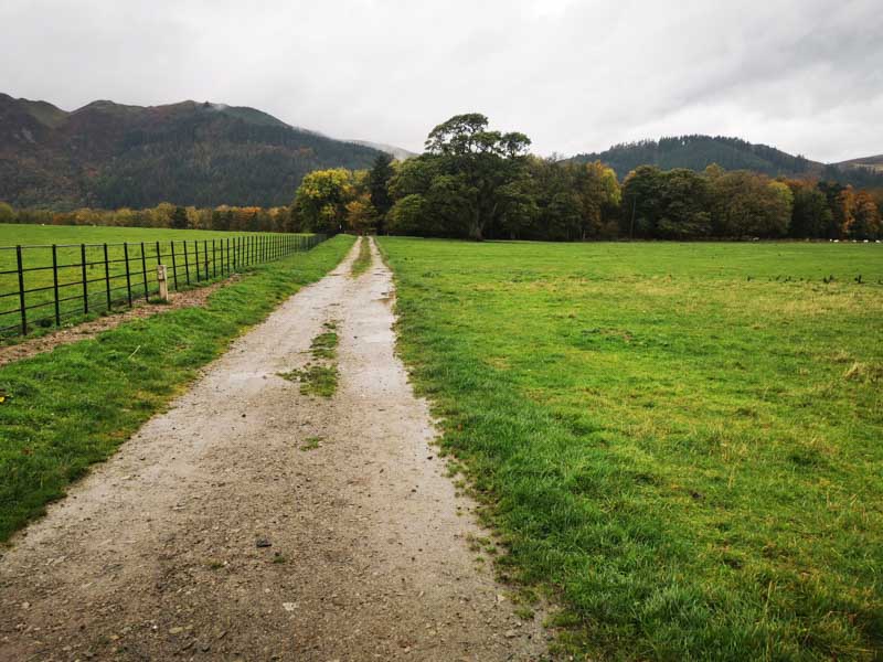 Field with long path through to mountains in background