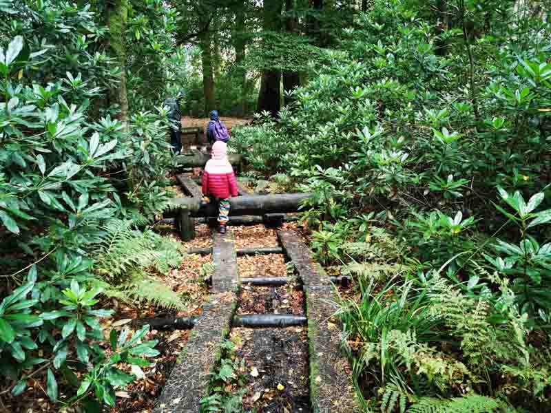 Children in the rain on woodland play trail