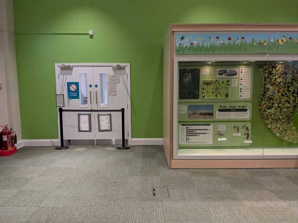 Large room with green walls and cabinet of bug displays