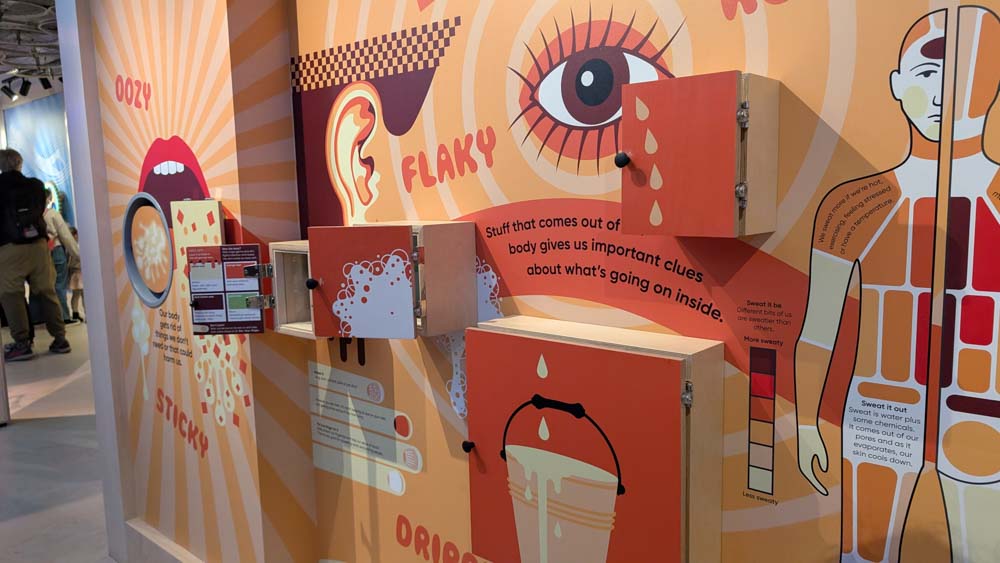 Interactive all of the body fluids