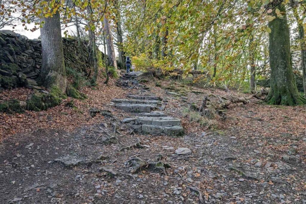 Stone steps winding uphill through a forested area with tree roots and fallen leaves scattered across the ground. A dry stone wall runs along the left side, and a hiker is visible in the distance among the autumn-colored trees.