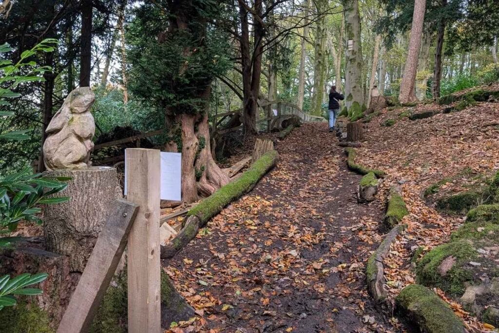Leaf-covered forest path winding uphill with mossy tree roots and wooden borders, featuring a carved wooden rabbit statue on the left. A person is seen ahead on the trail near a rustic wooden bridge, surrounded by tall trees in a serene woodland setting.
