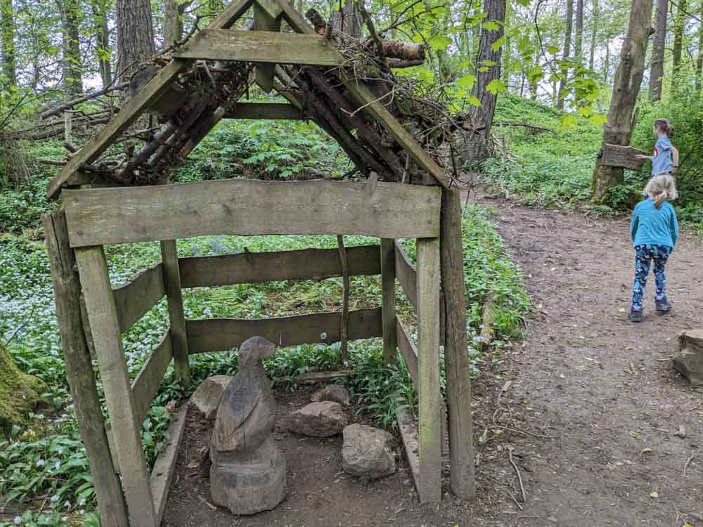 Wooden den in the woods