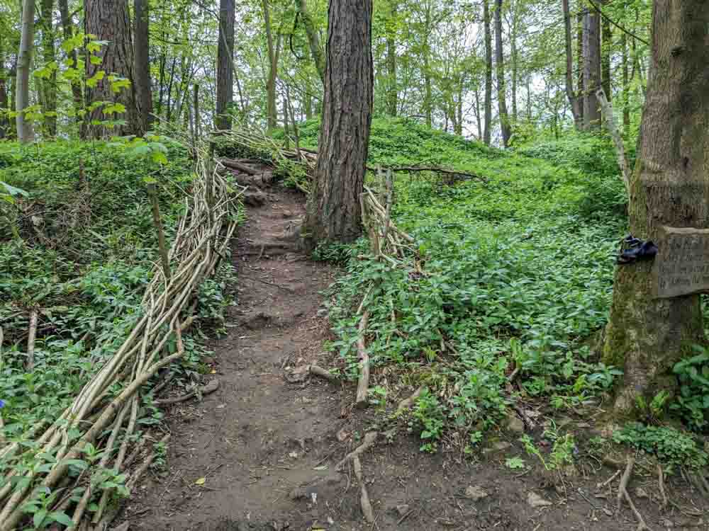 path up a hill in the woods