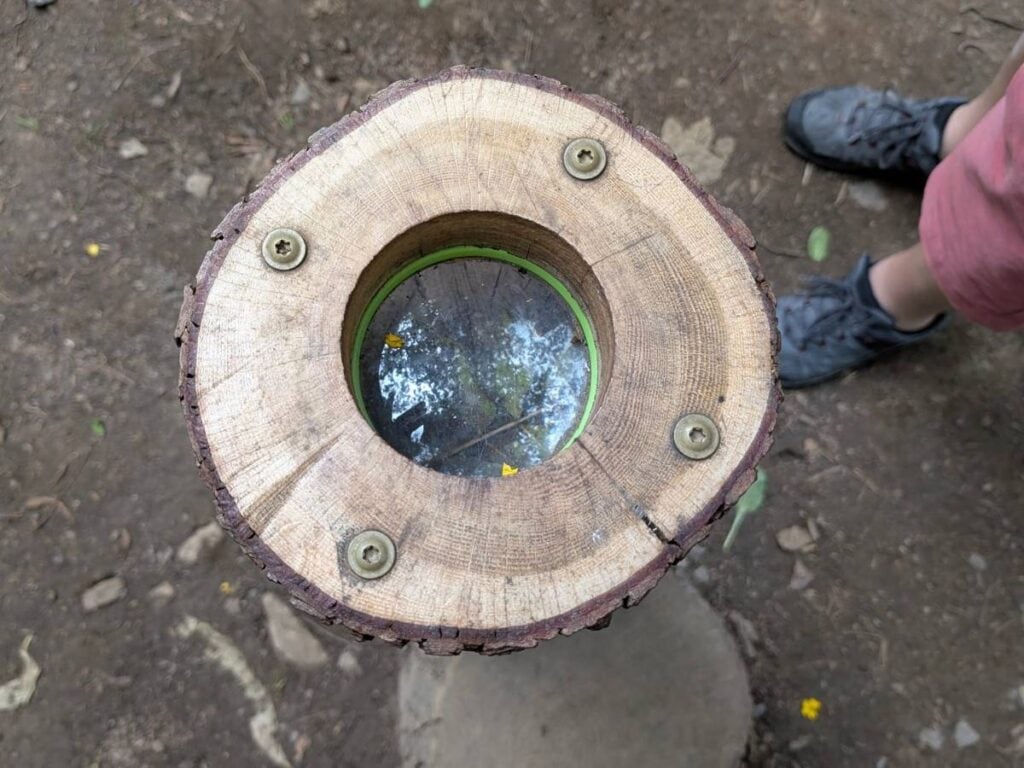 Close up of a log with a glass viewing circle
