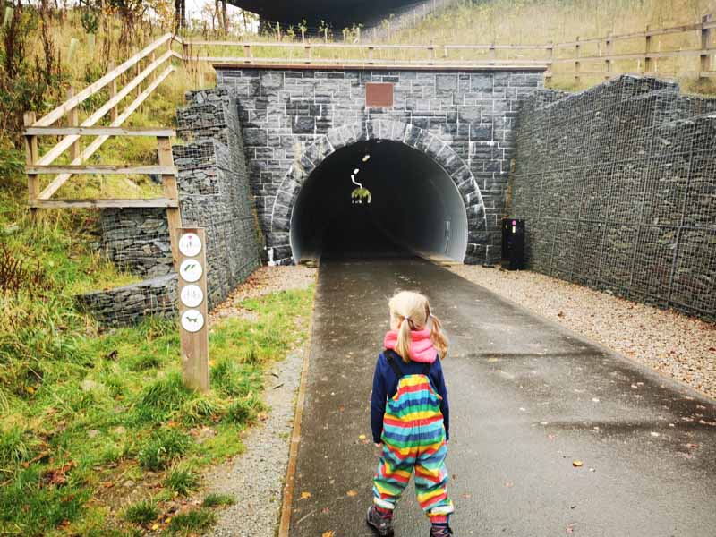 entrance to bobbins mill tunnel