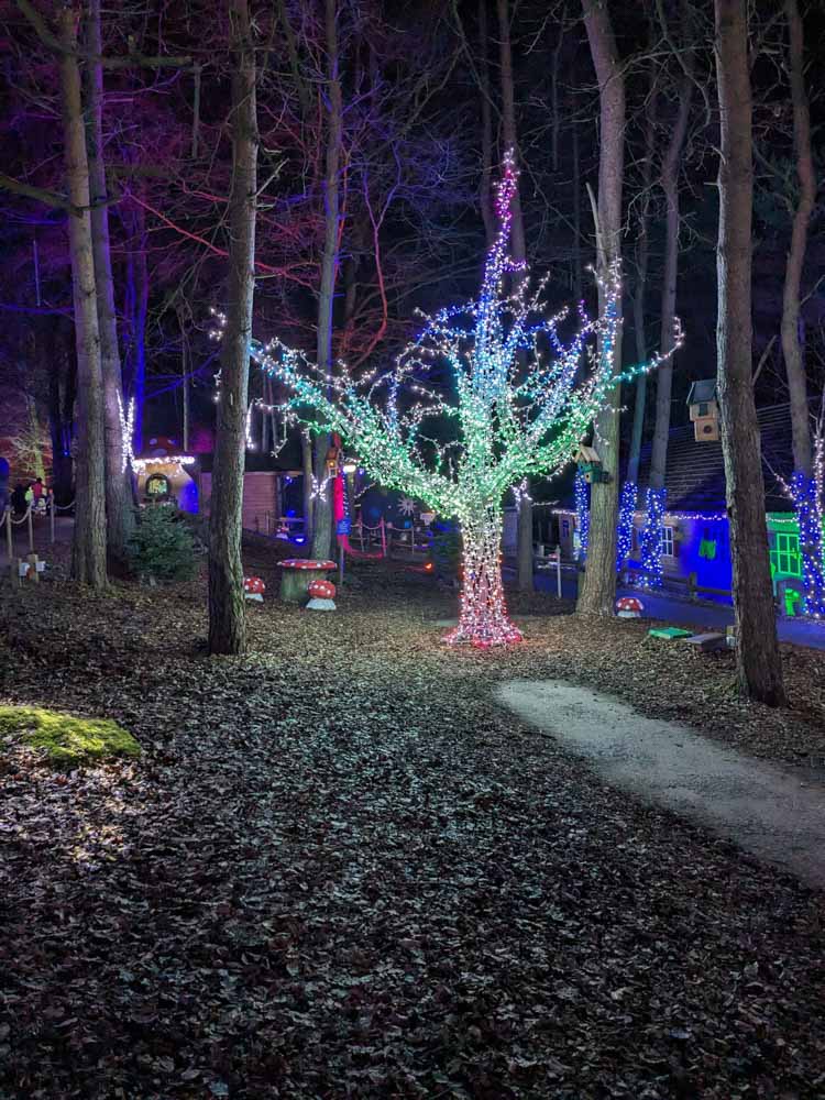 Winter Forest Lights At Center Parcs Whinfell Forest 2024 Review winter-forest-lights-at-center-parcs-whinfell-forest-2024-review