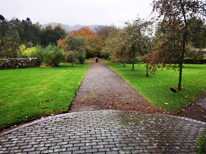 Path through a lawn in autumn