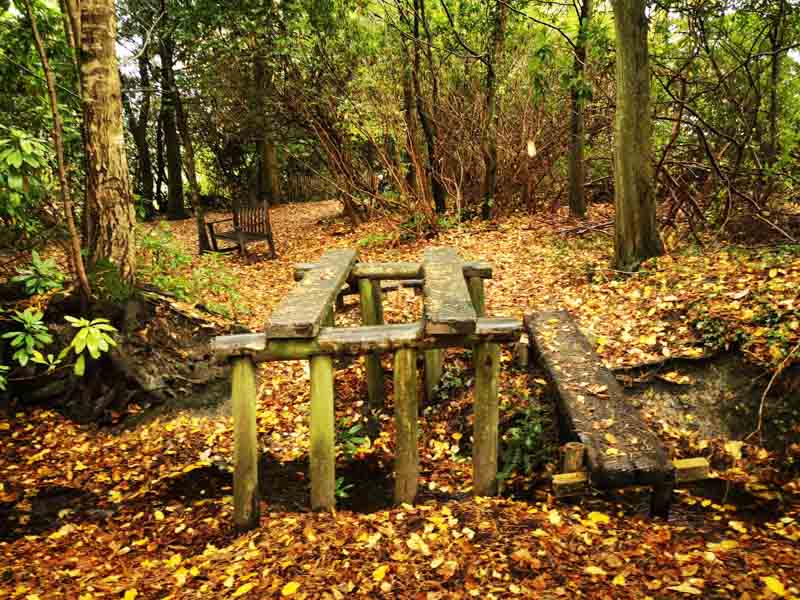 Wooden play structure in the woods